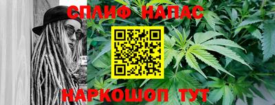 прущие грибы Чебаркуль