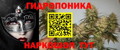 прущие грибы Чебаркуль