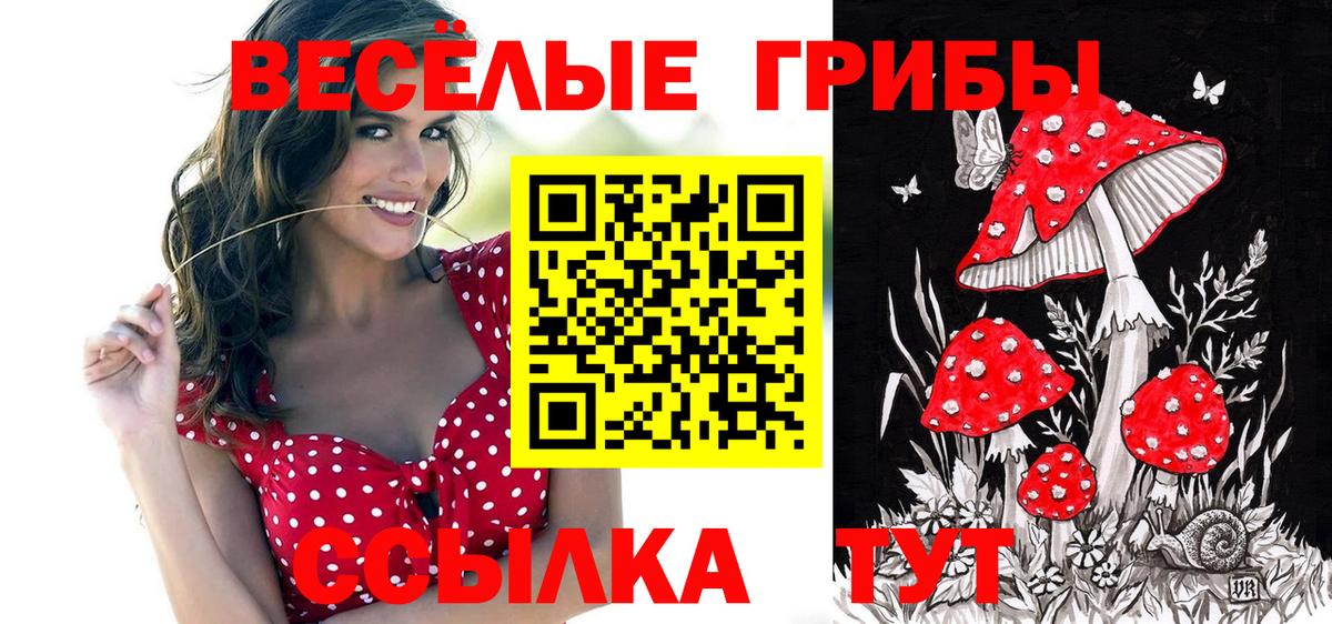 Медногорск  Псилоцибиновые грибы GOLDEN TEACHER  Вход с VPN 